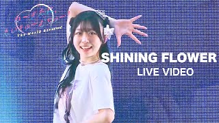 わーすたWASUTA「SHINING FLOWER」Live Video [upl. by Reilamag481]