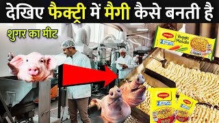 देखिए फैक्ट्री में Maggi कैसे बनती है   Maggi Making Process  Maggi Kaise Banti Hai [upl. by Irrak]