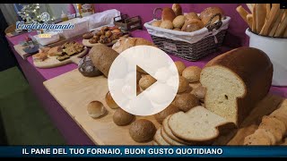 CONFARTIGIANATO NEWS “Il pane del tuo fornaio buon gusto quotidiano”  puntata del 021224 [upl. by Steele]