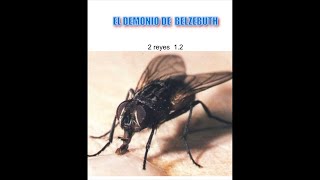 Belzebuth película de terror para no dormir  película en español latino [upl. by Annahgiel]