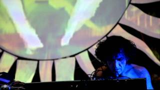 Eat Static  OZORA Festival 2011  1080p [upl. by Laerol]