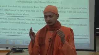 Swami SarvapriyanandaWorkshop on Stressfree Living at IIT Kanpur [upl. by Mathew955]