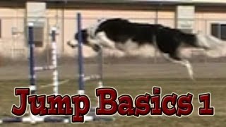 Jumping Basics 1 Agility Dog Training Susan Salo Exercise [upl. by Cherise440]