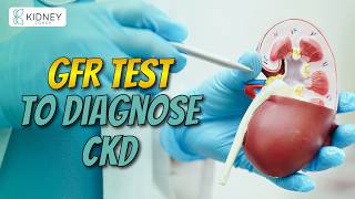 GFR Test To Diagnose Chronic Kidney Disease CKD  Glomerular Filtration Rate [upl. by Hung]