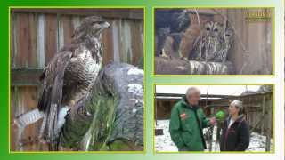 Wildtierhilfe  Winter 20122013 [upl. by Silver55]