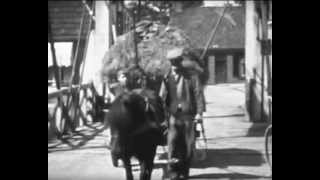 boerderijleven parrega 1953avi [upl. by Colette]