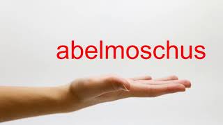 How to Pronounce abelmoschus  American English [upl. by Thornie82]