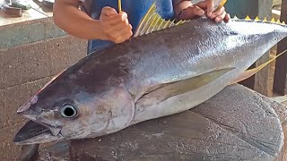 Big Tuna Cutting for Hotel Restaurants Restaurants and Food Stalls 🔥🔪🔥Live 18 Nov 24 [upl. by Katushka]