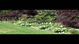 Take A Hosta Garden Tour In New Hampshire [upl. by Ttelrahc]