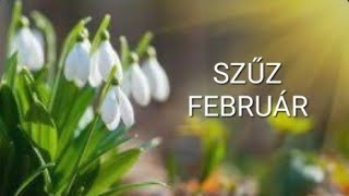 Szűz♍️ februári energiák [upl. by Ot]