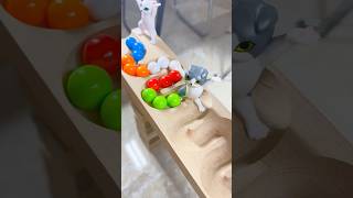 Marble runs with extremely rolling slopes marblerun marblerunrace asmr [upl. by Narol]