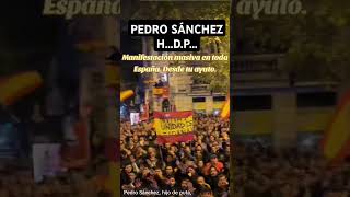 El pueblo habla valencia dana manifestacion [upl. by Nevla351]