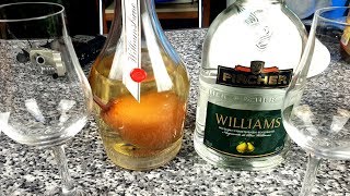 Williams Christ Schnaps Fruit Brandy  TASTING [upl. by Ebner229]