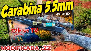 Carabina de pressão 55mm modificada pra 22lr vs TV 4k [upl. by Eniamzaj254]