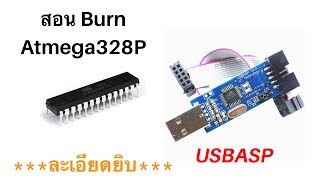 สอน Burn Atmega328P ด้วย USBASP Arduino Standalone แบบละเอียด [upl. by Perzan112]