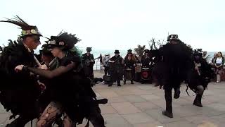 Beltane Border Morris  Kitty Jay  Teignmouth Folk Festival  23 Jun 24 [upl. by Llednov]