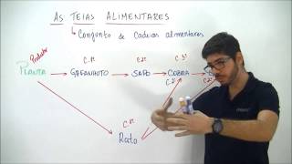 Xtensivo Biologia Teias Alimentares Prof Felipe Jardim [upl. by Ardnalac]