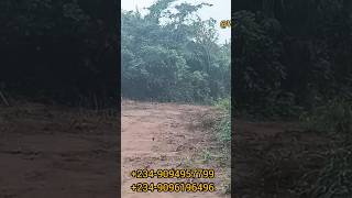 Produce what you eat with this farm land farmforsale farming landforsale shorts realestate [upl. by Corotto]