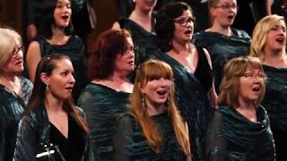 Songbird performed by Elektra Womens Choir [upl. by Darn]