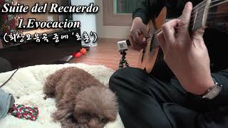 Suite del Recuerdo1Evocacion 회상모음곡 중에 초혼  Classical Guitar  PlayedArrDONG HWAN NOH [upl. by Seuqramed]