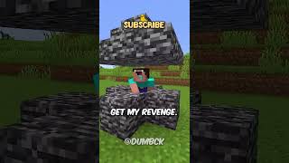 TODAY I FINALLY GET REVENGE ON THE NOOB IN MINECRAFT 🛍️ shorts [upl. by Tamaru]