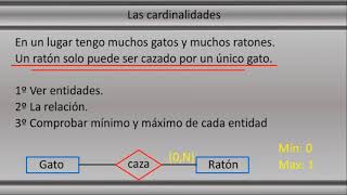 Cardinalidad en Diseño Base de Datos [upl. by Aisac]