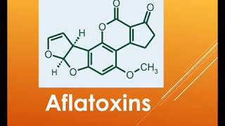 overview Aflatoxin [upl. by Ralip]