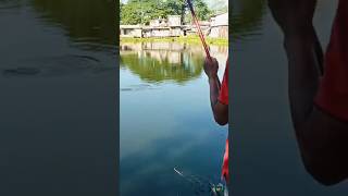 Fishing pond fishing fishingtechniques trending fish fishingbyhook youtubeshorts hooksfishing [upl. by Celine]