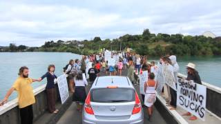 Kiwis Against Seabed Mining March Raglan NZ [upl. by Countess]