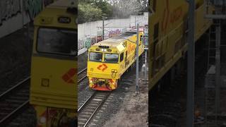 Aurizon Container Train railfanning train [upl. by Gerrald154]