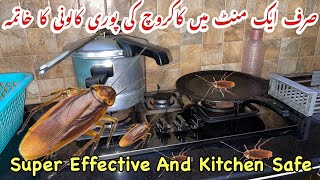 Safe And Effective Way To Kill CockroachesRemedies To Get Rid Of CockroachesKitchen Safe Remedy [upl. by Odnarb]