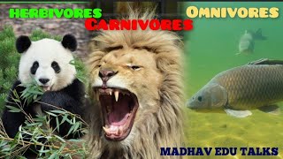 Herbivores Carnivores amp Omnivores  Food Chain  Educational Video  Science Lesson [upl. by Nady]