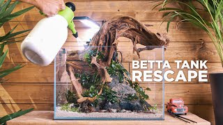 BETTA AQUARIUM RESCAPE  Bigger tank for my beautiful betta [upl. by Harwell]