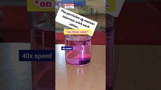 What is Diffusion Class 9  Diffusion of Potassium Permanganate in Water shorts anjusscience [upl. by Hgielac]