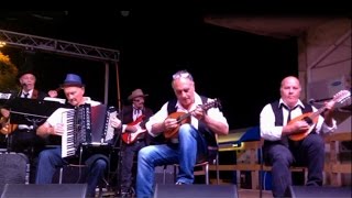 Stivali e Colbacco di Adriano Celentano  Banda della Posta Live 2016 a Vietri di Potenza [upl. by Ahsita]