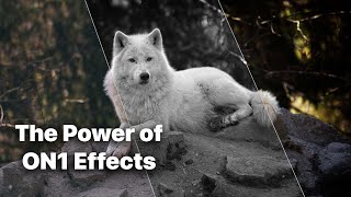 The Power of ON1 Effects [upl. by Sawyer]