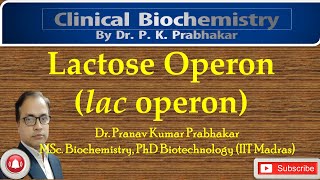 Lactose Operon Negative Inducible Operon [upl. by Aronek508]