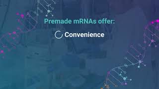 Top 3 mustknows before choosing premade mRNA for your research  TriLink BioTechnologies [upl. by Chaves879]