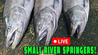 Small River Spring Salmon Fishing Floats Hovering amp More [upl. by Marquis]