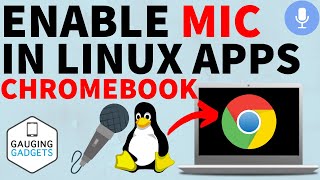 How to Enable Mic in Linux on Chromebook [upl. by Picco152]