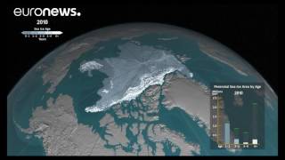 How ice has melted in the Arctic Ocean since 1984 [upl. by Ssyla]