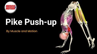 Master the Pike PushUp Shoulder Press Reimagined [upl. by Suki]