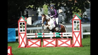 Annika Horse Eventing Coldplay De Vision Salgsvideo [upl. by Ahsak]