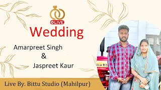 Live WEDDING CEREMONY l Amarpreet Singh Dhillon Weds Jaspreet Kaur  Bittu Studio Mahilpur [upl. by Ailemap]