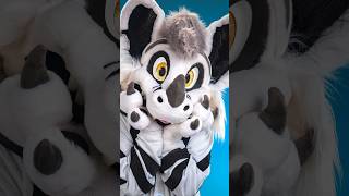 Furry Personality Traits UwU Cute Fursuit furrymemes furries fursuit [upl. by Deibel]