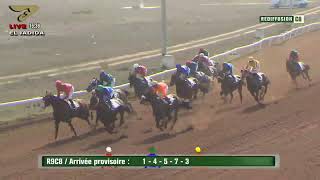 Live Hippodrome « EL JADIDA »  Courses du « 12082023 » [upl. by Johen]