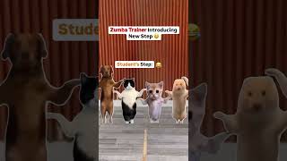 When Zumba trainer introduce new step 😂 zumba zumbabollywood zumbafun funny shorts viralreel [upl. by Aneehsor]