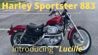 Harley Davidson Sportster 883 Walkaround Introducing quotLucillequot [upl. by Aehsat]