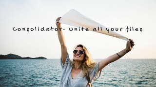 Consolidator  Unite all your files [upl. by Brandi]