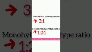 father of geneticmonohybrid genotype and phenotypic ratiobiologyshort vediosure sur [upl. by Noorah]